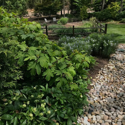 Acer Landscape Services Acer Landscape Services