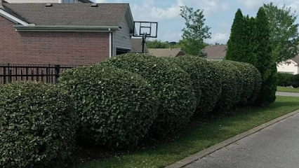 615 Lawn and landscapes 615 Lawn and landscapes